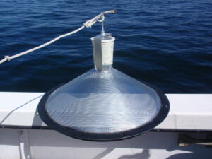 Larval trap before deployment
