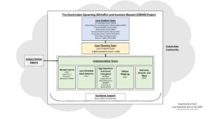 SWIM governance structure