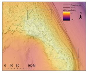 Suspected Lake whitefish spawning hot spots on Good Harbor Reef off the coast of northeast Michigan